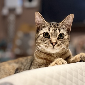 Fundraising Page: Rachael Kraus